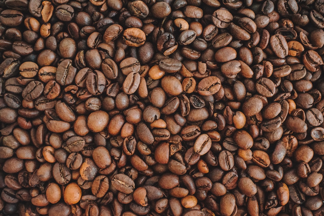 Two piles of coffee beans showing arabica and robusta varieties with different sizes and shapes