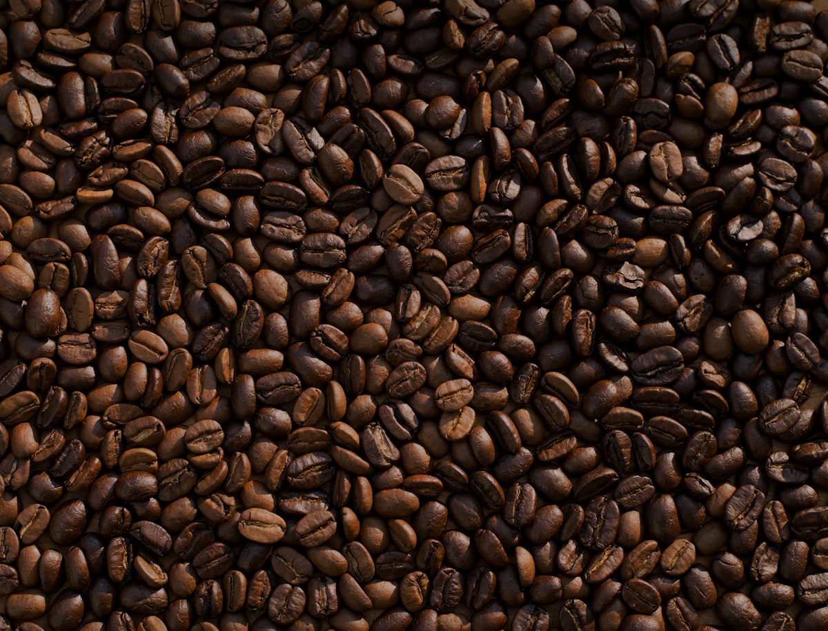 Whole roasted coffee beans in a bowl next to freshly ground coffee on a wooden counter