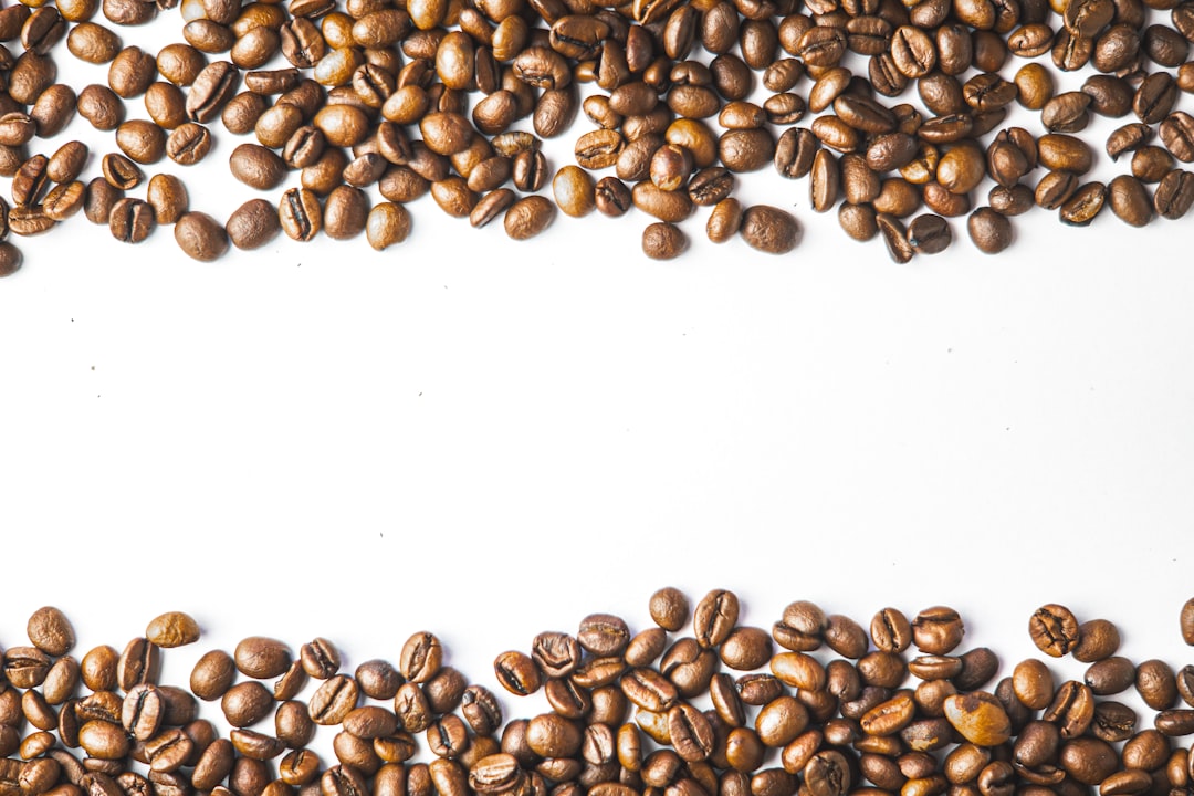 Coffee beans on a white background