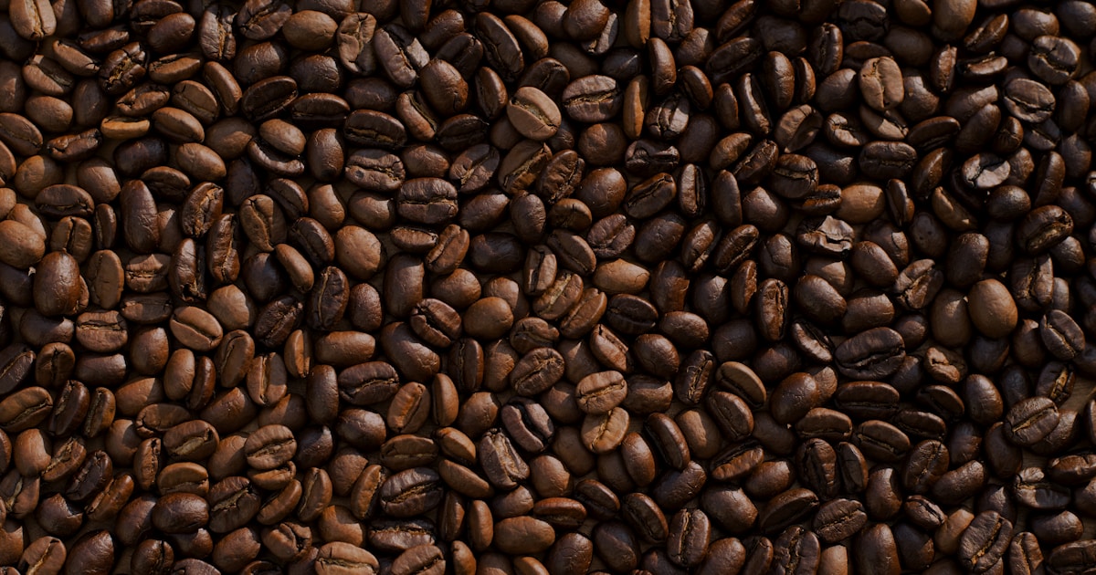 Close-up of robusta coffee beans